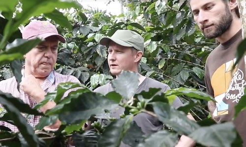 Film: 90 Jahre Freundschaft zwischen Henauer Kaffee und Finca Irlanda