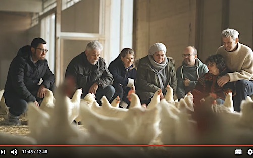 In seinem Kurzfilm zeigt Tilo Wondollek, wie Produzentinnen und Produzenten die Geflügelzucht wieder selbst in die Hand nehmen.