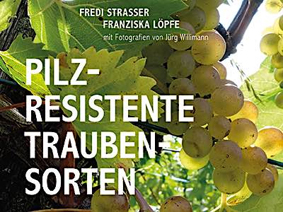 Fredi Strasser führt einen biodynamischen Weinbaubetrieb mit resistenten Rebsorten und gibt hier sein reiches praktisches und fachliches Wissen weiter für Weinbauinteressierte und Fachleute