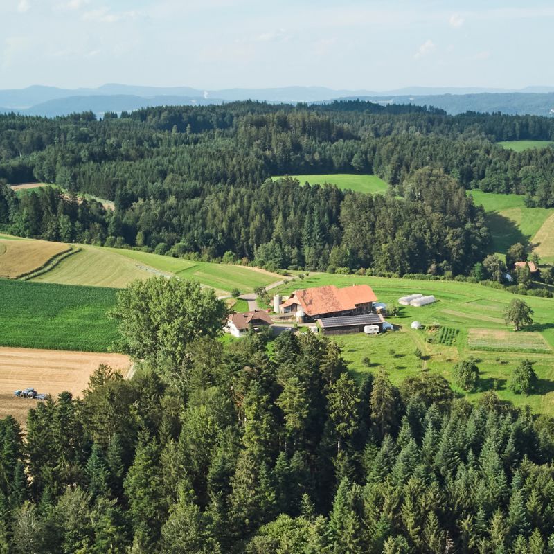 bild-hof-sommer