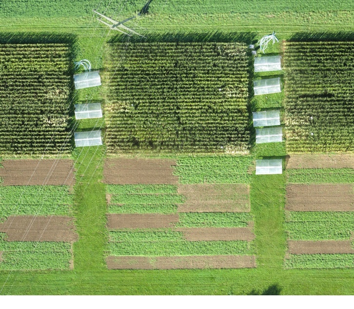 contentbild-feld-dok-versuch