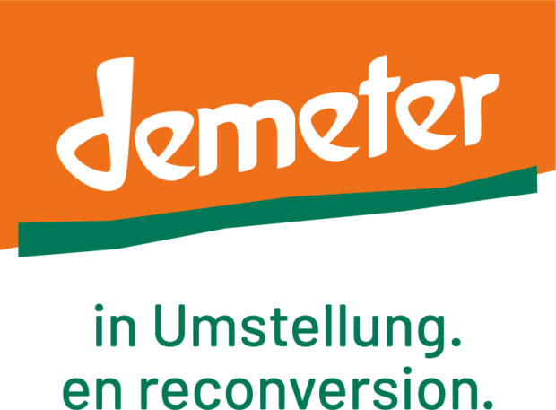 Logo in Umstellung