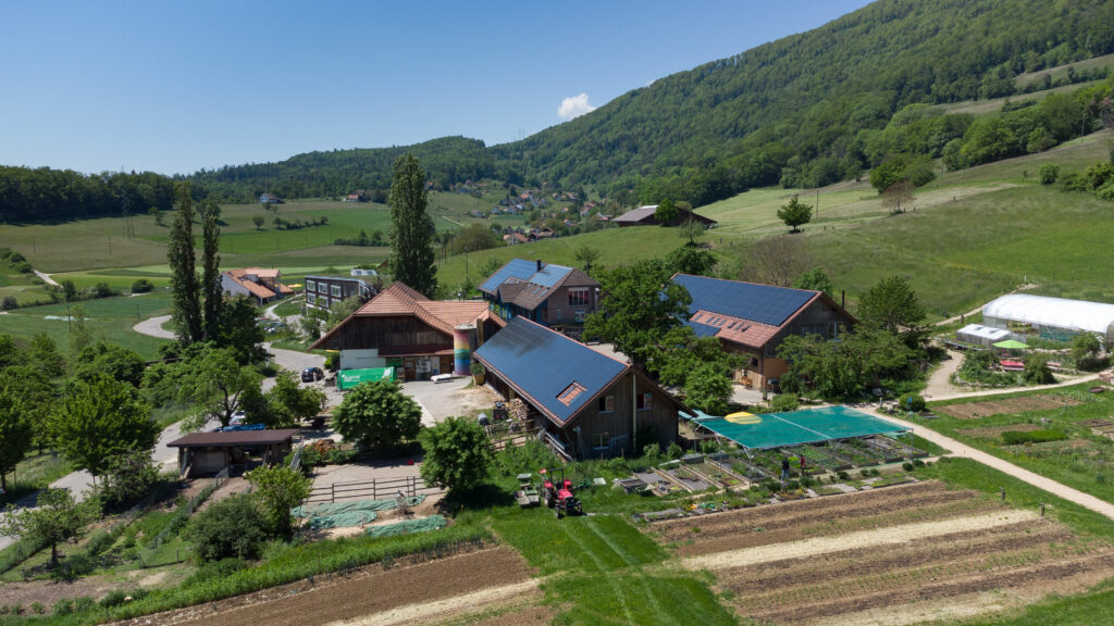 Responsable du secteur agricole (80 à 100 %)