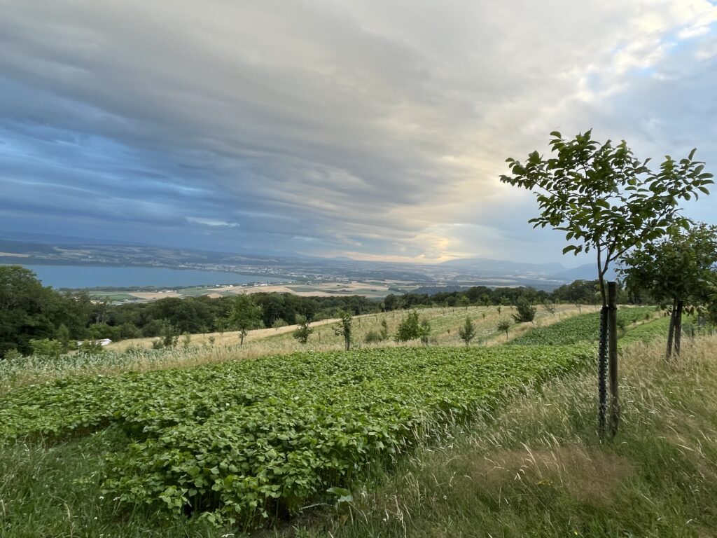 Associé·e pour gestion de ferme en collectif