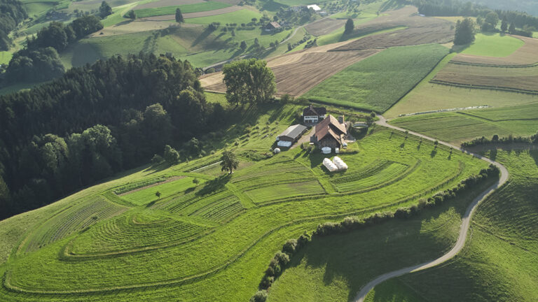 Aus der Luft besonders gut sichtbar: Das Keyline-Konzept auf dem Katzhof (Foto: ©Raphaela Graf)