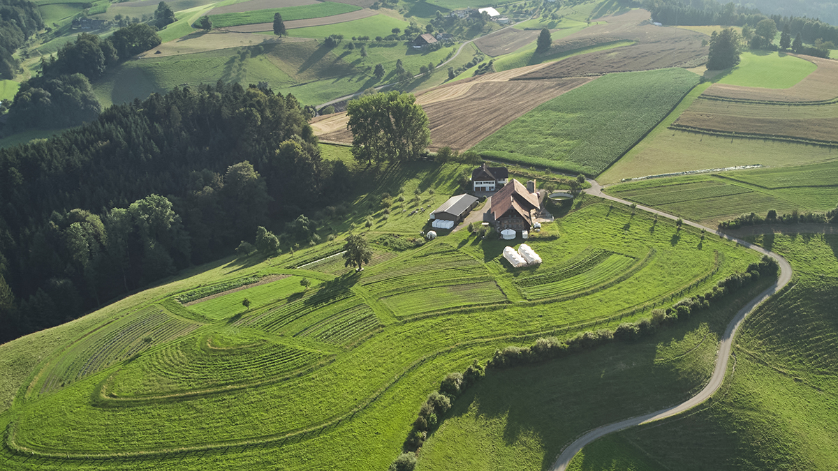 Aus der Luft besonders gut sichtbar: Das Keyline-Konzept auf dem Katzhof (Foto: ©Raphaela Graf)